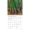 BrownTrout; National Parks | 2027 7 x 14 Inch (Hanging) Monthly Mini Wall Calendar; Category:Wall Calendars; Image:5